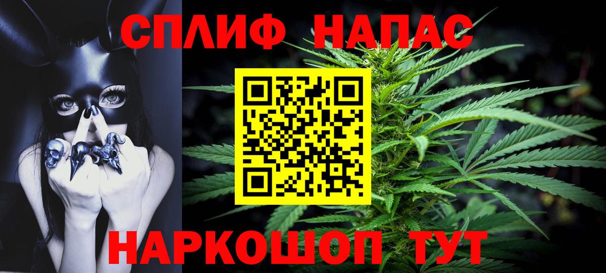 Бошки марихуана семена  Шишки марихуана конопля  Вход с VPN  Зерноград 